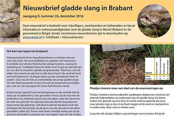Nieuwsbrief Gladde Slang Noord-Brabant