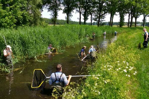 Vrijwilligersdag Natuur Noord-Brabant Visexcursie