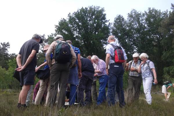 Vrijwilligersdag Natuur Noord-Brabant Plantenexcursie Insectenexcursie