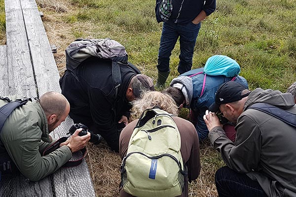 Educatie Excursie Natuurfotografie Rolf van Leeningen