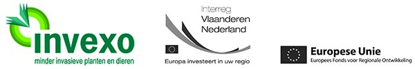 Invexo logo