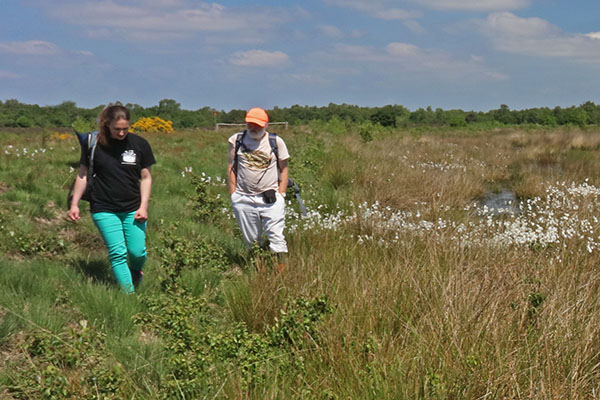 Vrijwilligers helpen met reptielen tellen. Foto: Jelger Herder