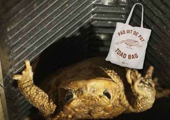 Pad uit de put - Toad Bag