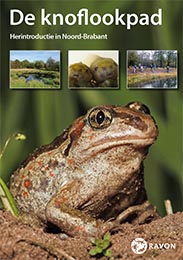 Folder over de knoflookpad