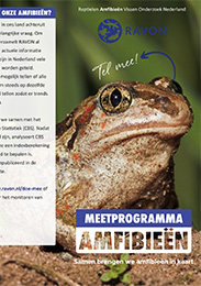 Folder Meetprogramma Amfibieën