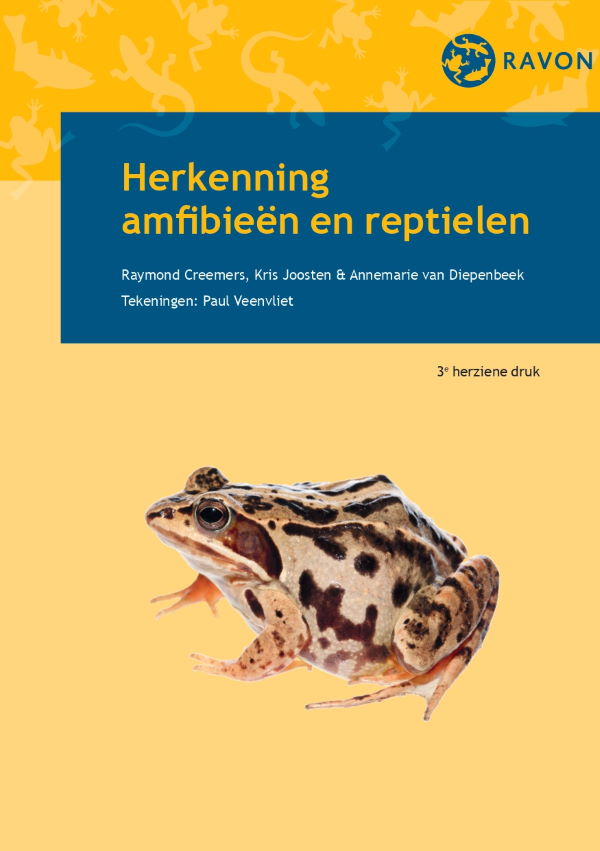 Veldgids reptielen & amfibieën Herkenning RAVON Annemarie van Diepenbeek Raymond Creemers