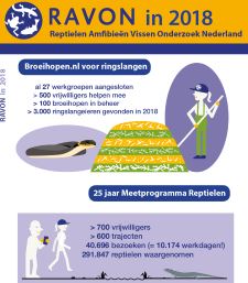 Jaarverlag 2018 RAVON