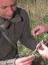 Onderzoekers Ringslang Ingo Janssen Jelger Herder