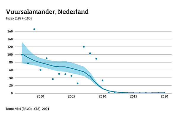 Vuursalamander Trend Aantalstrend RAVON