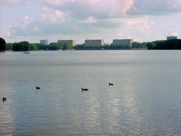 Amsterdam Sloterplas, Bart van Iterson