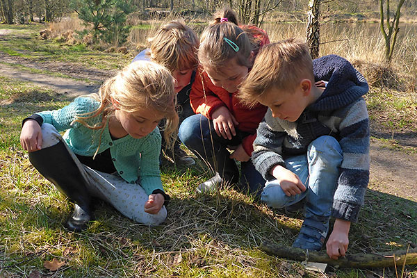 Tuintelling.nl. Foto: Jelger Herder