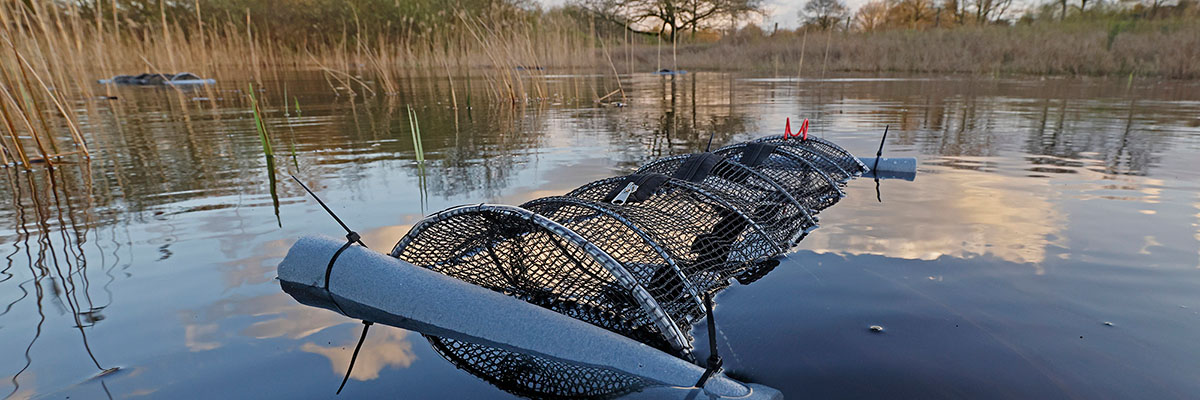 Amfibieën vast traject. Foto: Jelger Herder