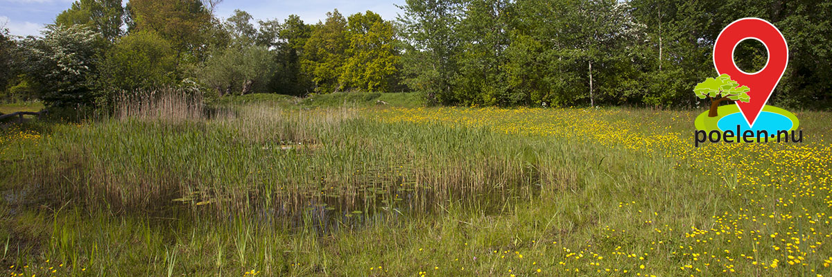 Amfibieën vast traject. Foto: Jelger Herder