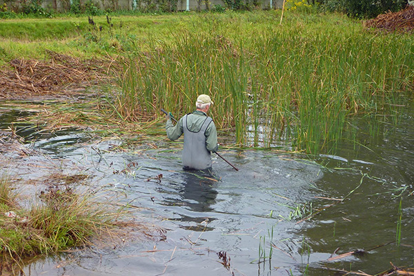 Padden overzetten via padden.nu. Foto: Jelger Herder