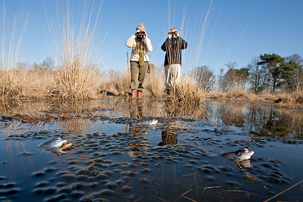 Vrijwilligers doen verspreidingsonderzoek. Foto: Jelger Herder