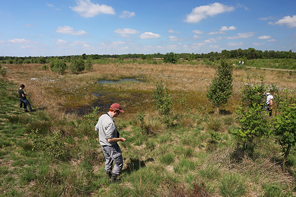 Vrijwilliger zoekt reptielen op een vast traject. Foto: Jelger Herder