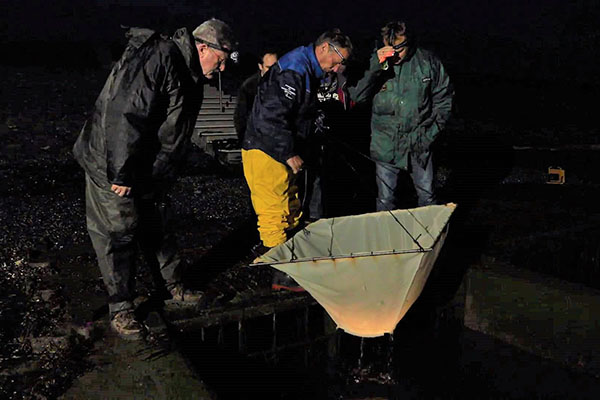 Vrijwilligers bezig met een kruisnet. Foto: Jelger Herder