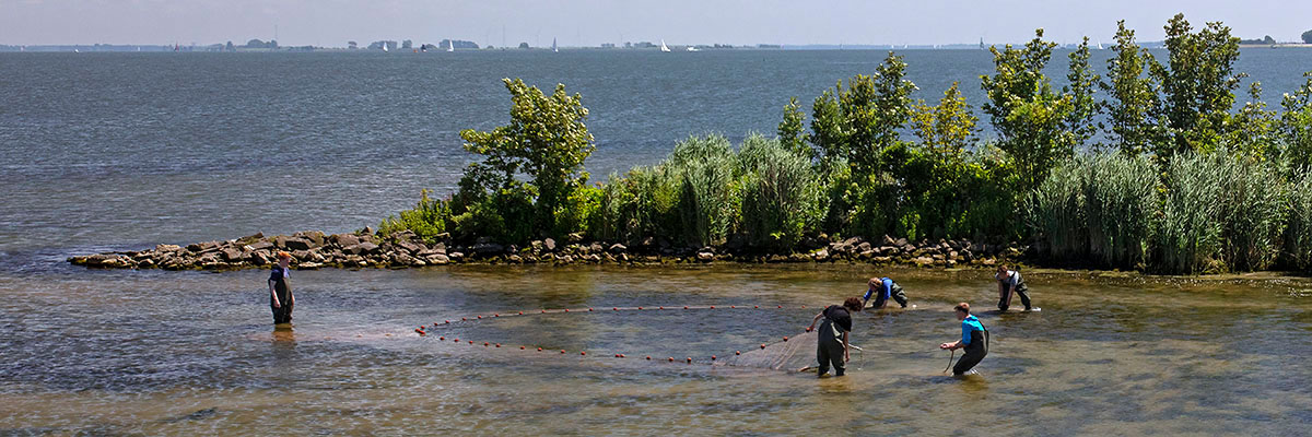 Zegenvissen in de delta. Foto: Jelger Herder