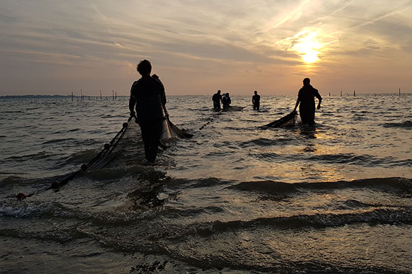 Vrijwilligers zijn aan het vissen met een zegen. Foto: Jelger Herder