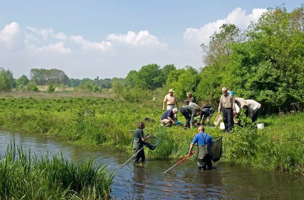 Vrijwilligers zijn aan het vissen. Foto: Jelger Herder