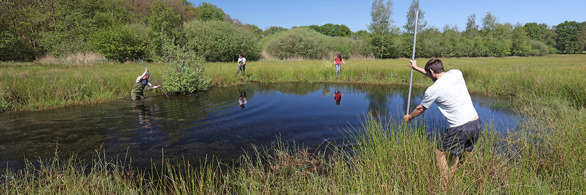 Vrijwilligers in het veld. Foto: Jelger Herder