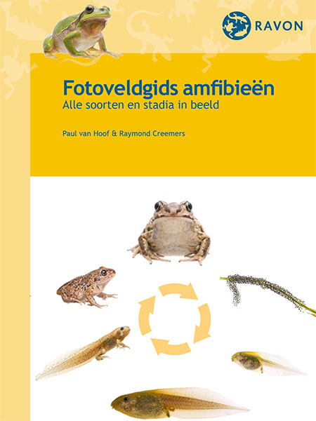 Fotoveldgids amfibieën