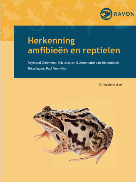 Veldgids herkennen amfibieën en reptielen