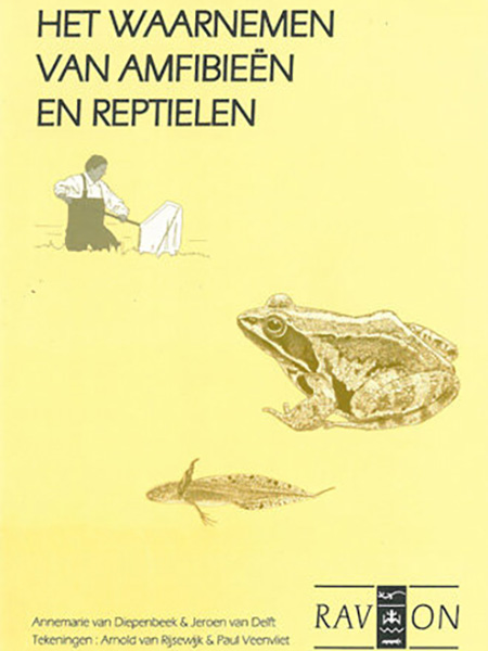 Veldgids Het waarnemen van amfibieën en reptielen