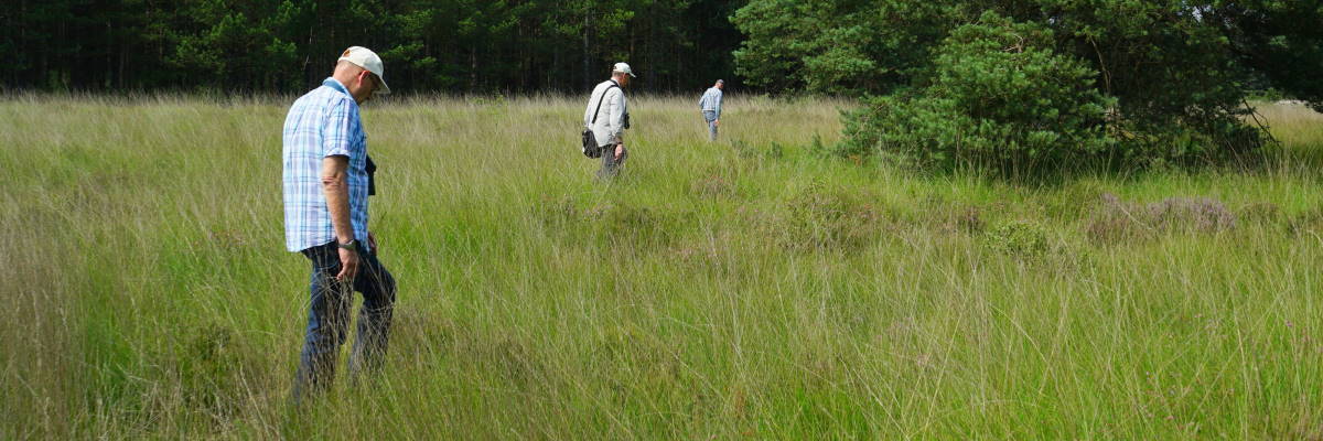 Excursie werkgroep gladde slang Kempen. Foto: Arnold van Rijsewijk