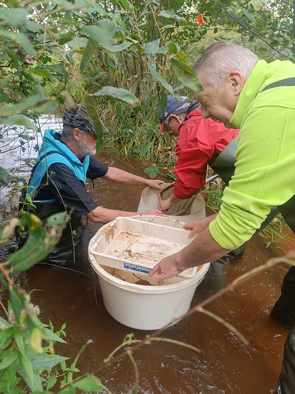 Werkgroep Water IVN VEV