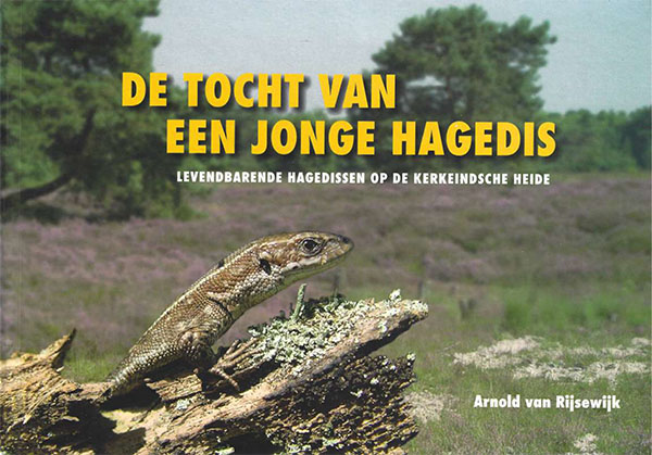 De tocht van een jonge hagedis