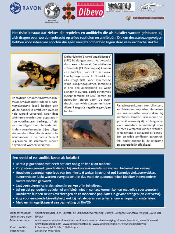 leaflet huisdieren reptielen amfibieën ziektes